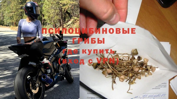 сатива Алексеевка