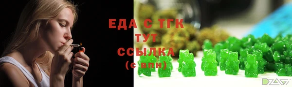 прущий лед Алзамай