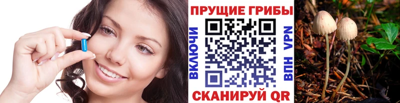 Псилоцибиновые грибы мухоморы  Звенигово 